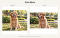 Pet Alive example
