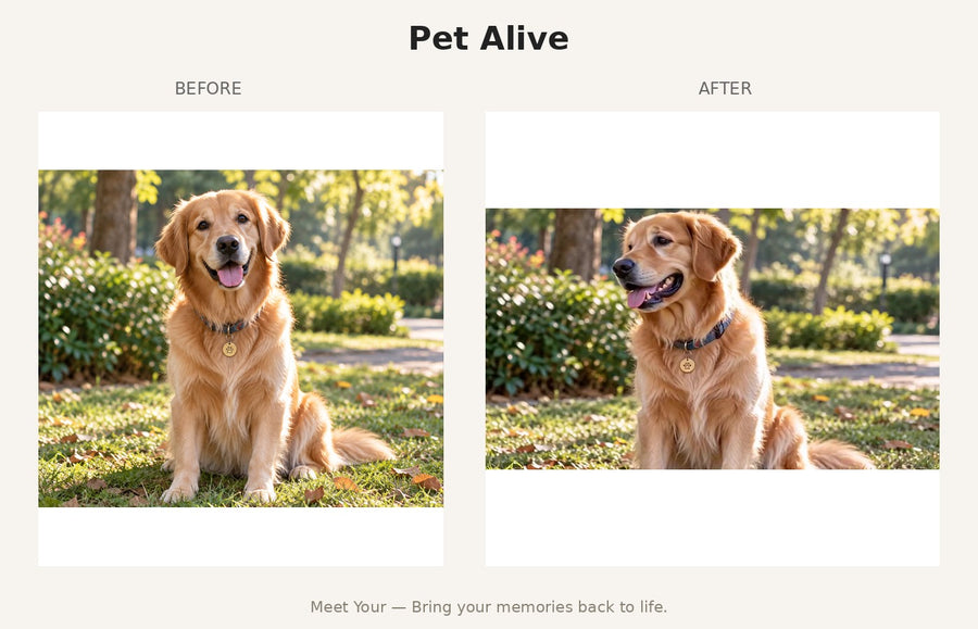 Pet Alive